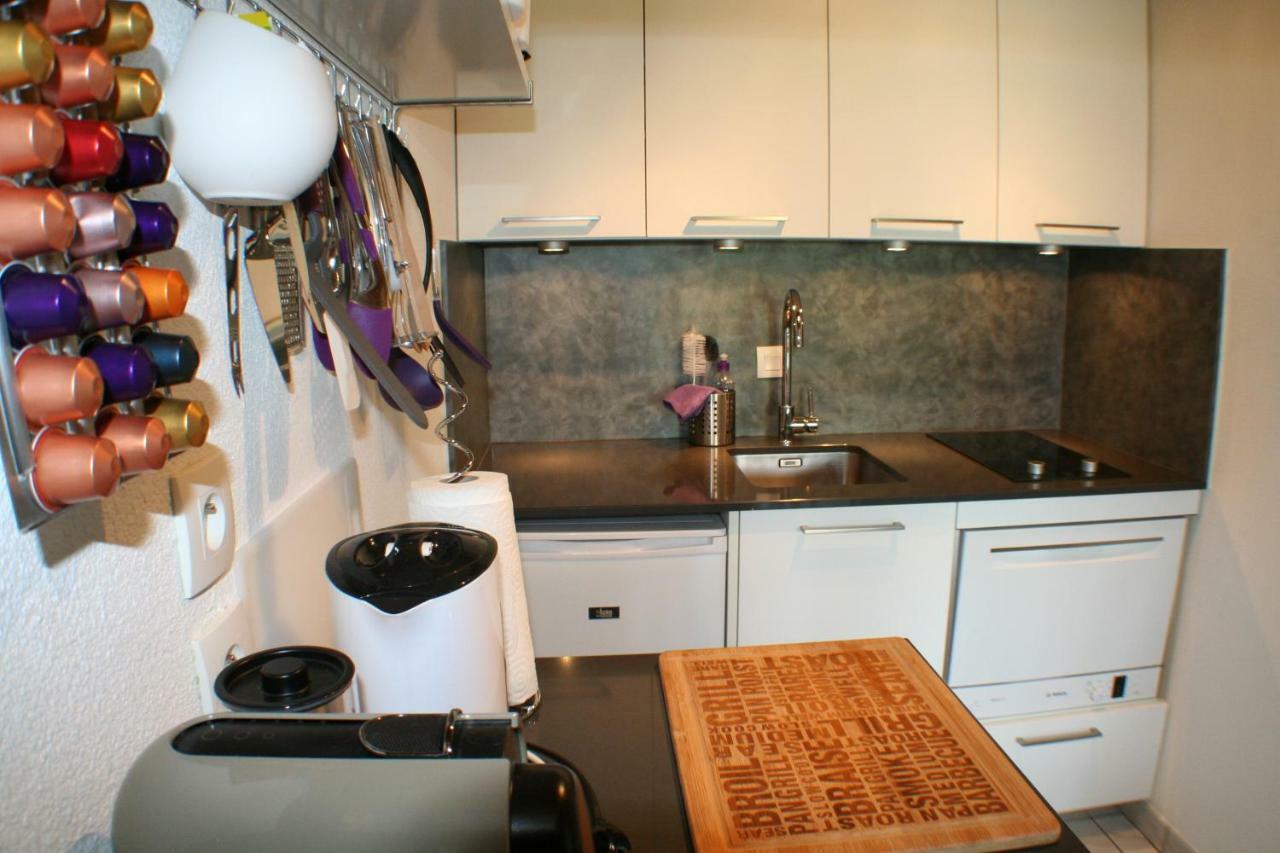 Apartplage Saint-Jorioz Eksteriør bilde